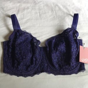 Beautiful Sapphire Lace Balconette 36G.